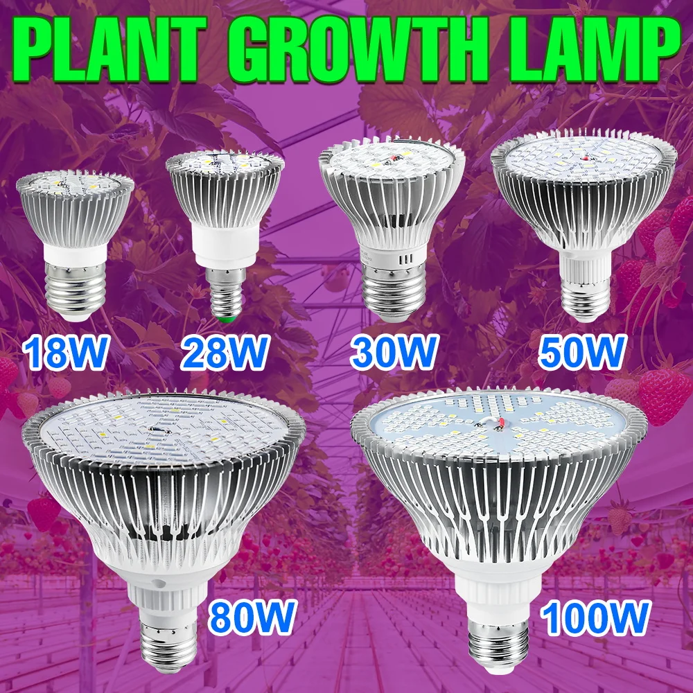 E27 Phyto Lamp E14  Fitolamp For Greenhouse Hydroponic Flowe