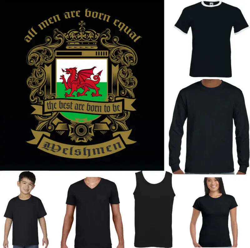 WELSH T-SHIRT Mens Wales Flag Rugby St Davids Day Football Men Are Born Equal | Мужская одежда