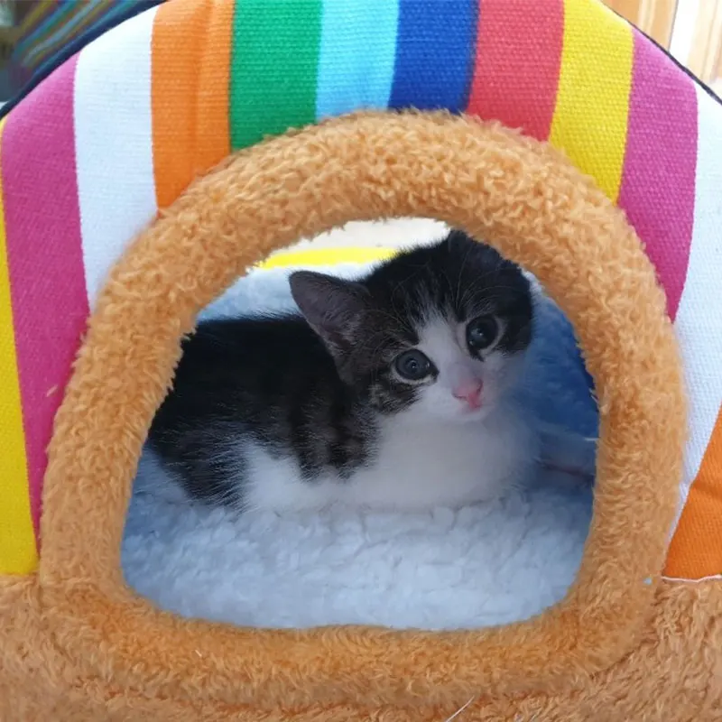 Складная кровать для домашних питомцев зимняя палатка-домик собак и кошек