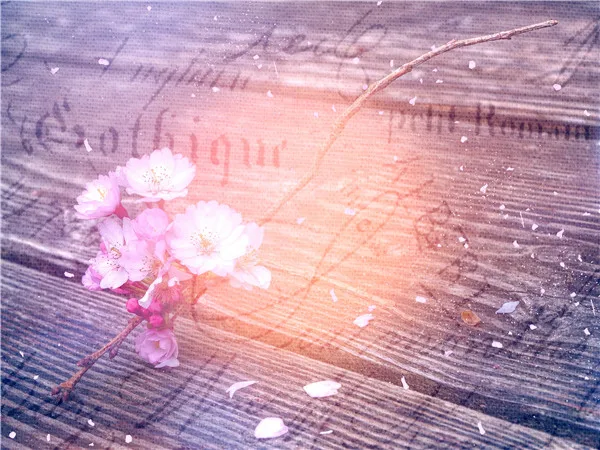 Виниловый фон для фотосъемки с цветами на заказ 20220 22|Фон фотосъёмки| |