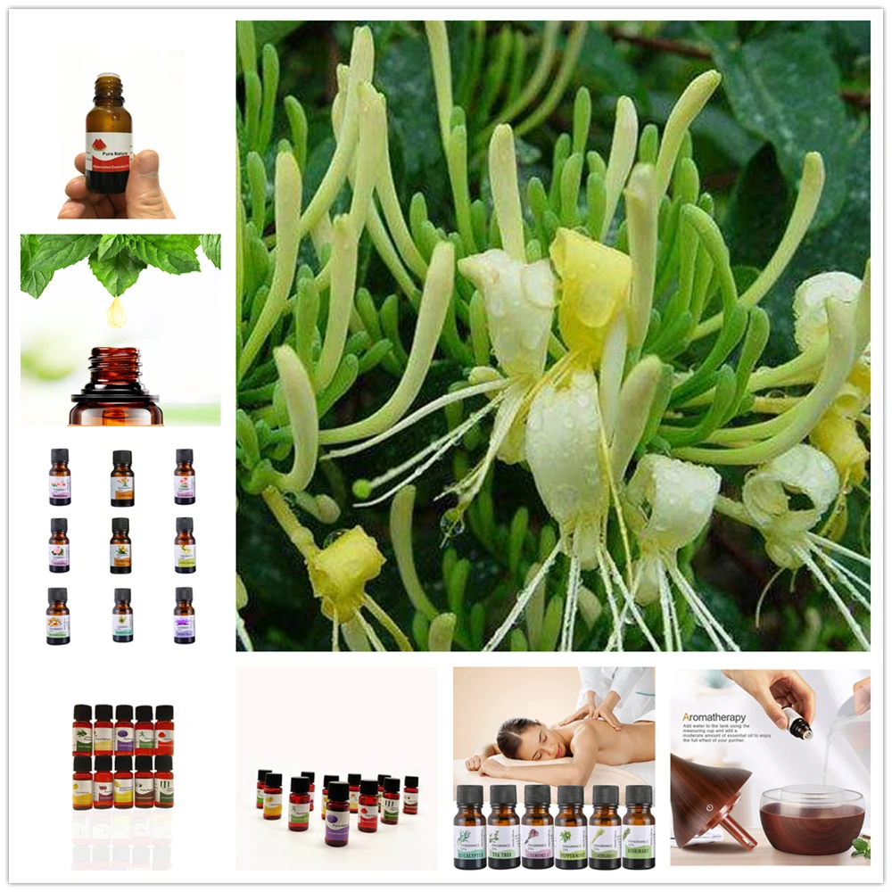 Эфирное масло для ароматерапии 10 мл 12 ароматов|Эфирное масло| |