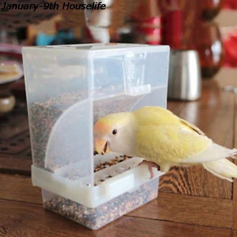 

Hot Small Size Bird Poultry Feeder Automatic Acrylic Food Container Parrot Pigeon Splash Proof 10x12x7.5CM