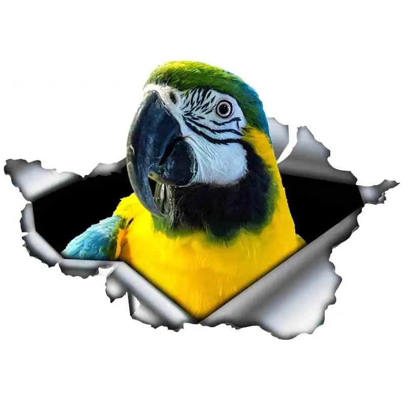 

13cm*9cm 1 Pcs for Torn Metal Parrots Creative Car Sticker Graffiti Decal Car Styling Waterproof Windows Suitable for GTR EVO SX