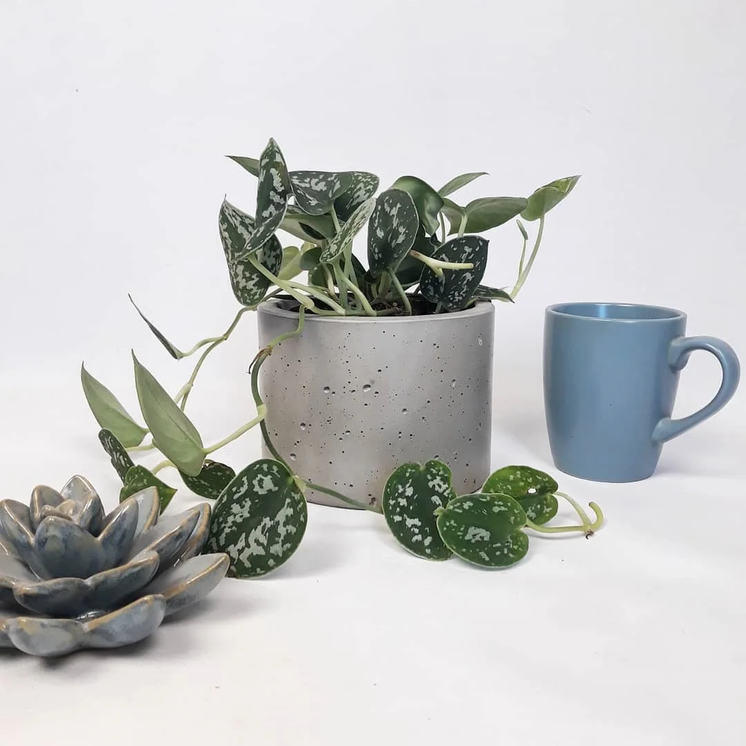 Полигональный геометрический цветочный горшок бетонная силиконовая форма для