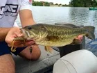 Esfishing Craw рыболовные приманки 6 шт. 9 см/6,2 г огромные щупальца рыболовные приманки для карпа Мягкая приманка для рыбалки Реалистичная креветка Isca Artificiais