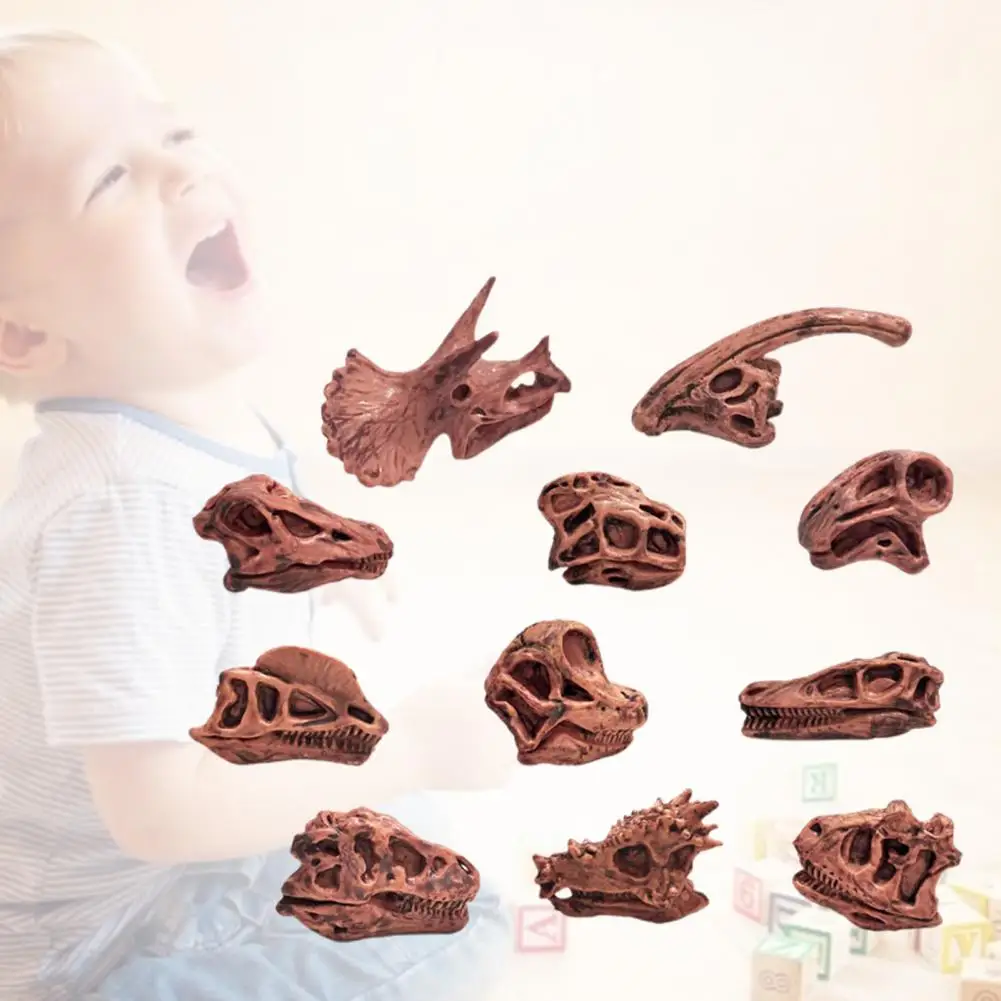 Забавная коллекция высокая имитация зуба динозавра модель черепа для школы зуб