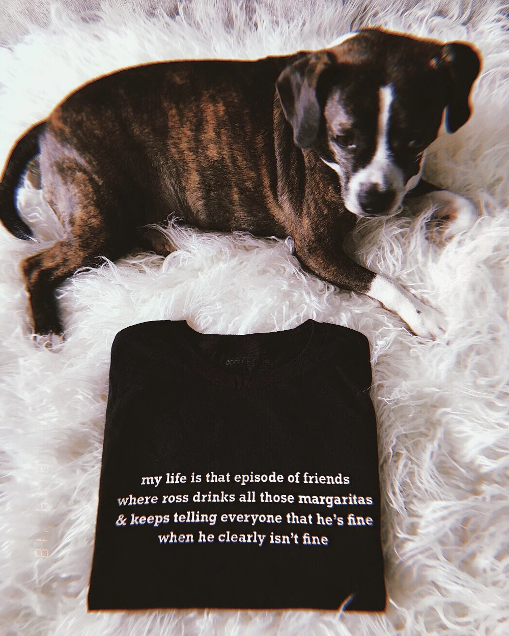 Женская футболка My life is that episode of friends the ross Винтажная хипстер гранж tumblr|Футболки| |