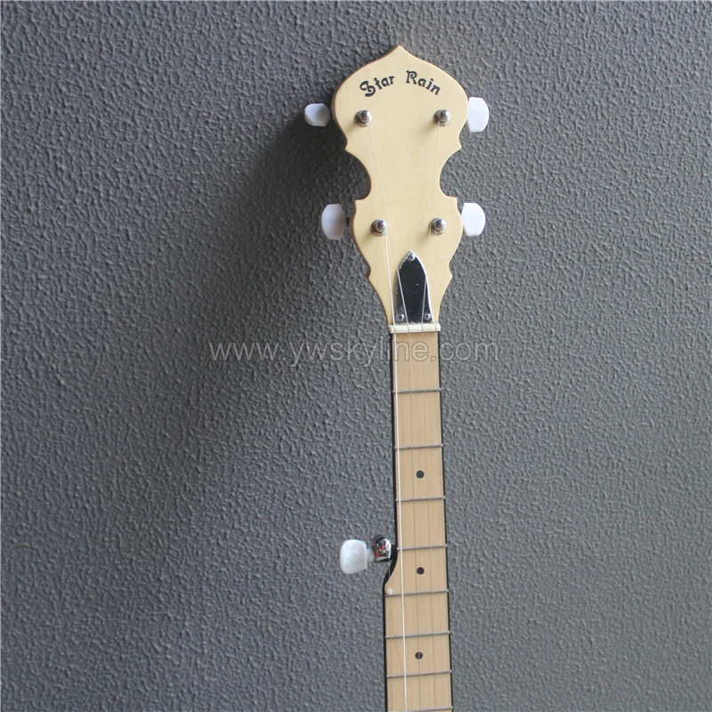 5-струнная гитара banjo акриловый корпус хорошее качество в жестком корпусе |