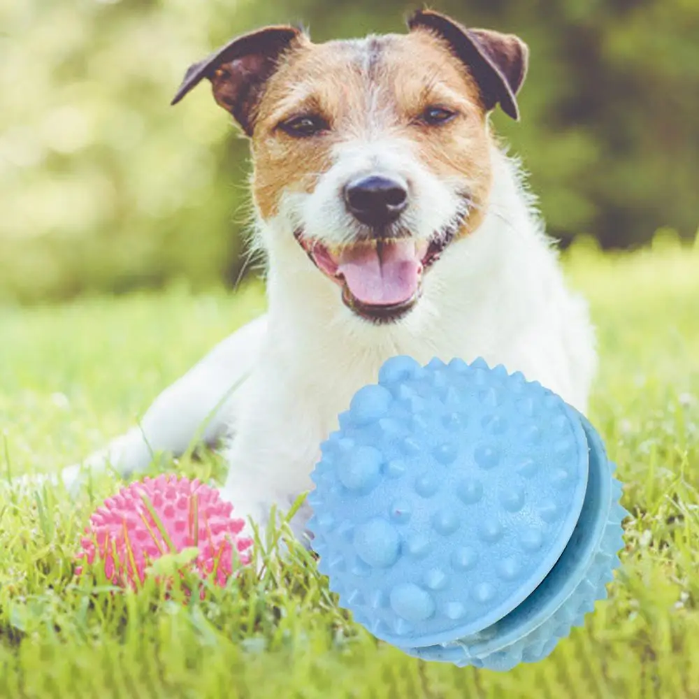 

Pet Dog Bite Resistant Ball with Thorns Durable Toothbrush Cleaner Chew Toy