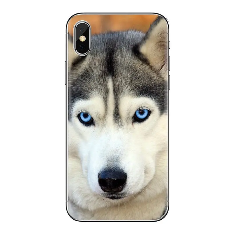 Прозрачные мягкие чехлы милые игрушечная Лайка собака для Samsung Galaxy A3 A5 A7 A9 A8