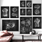 Белая и черная живопись анатомии на медицинском холсте, Постер цветочных органов, сердца и легких, картина для обучения больнице, домашний декор