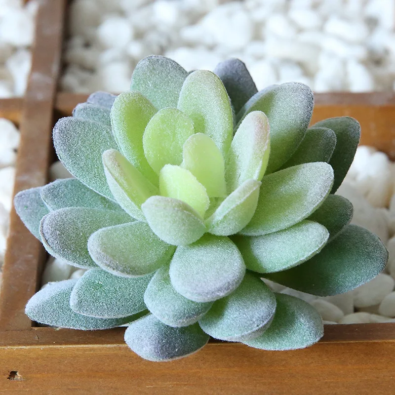 

Succulents Simulation Flocking Flower Head Flower Arrangement Accessories Fake Succulent Plastic Flower Decorative Plant Potted
