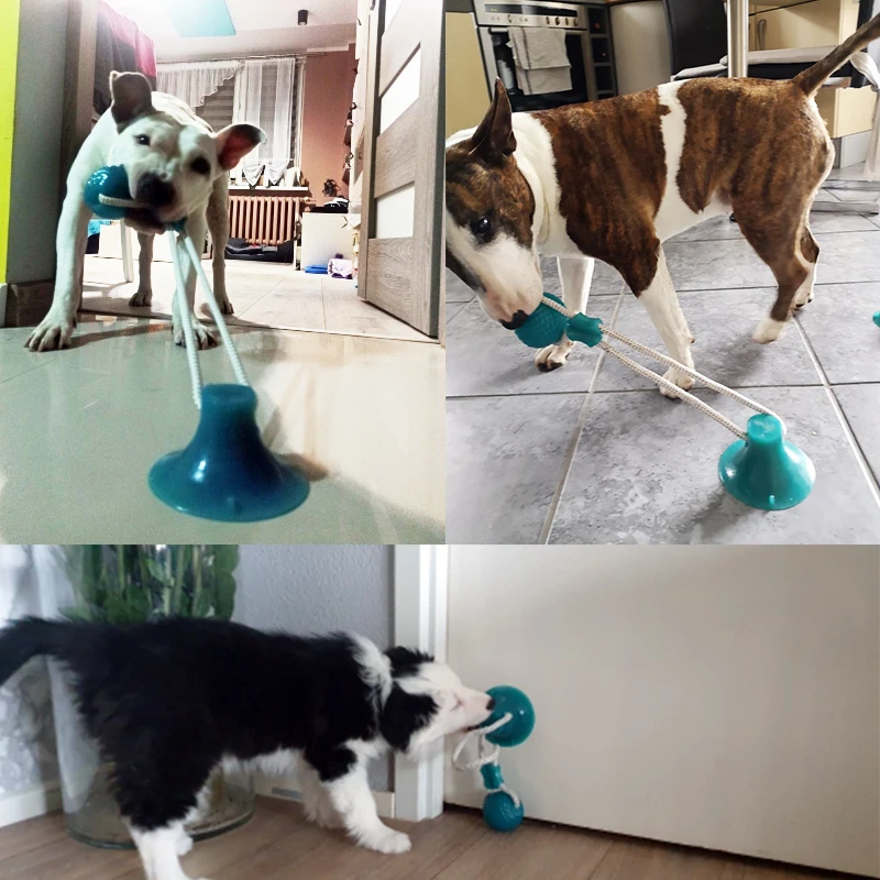 Dog Toys for Large Dogs Interactive Suction Cup TPR Balls Puppy Accessories Tooth Cleaning Chewing Supplies | Дом и сад