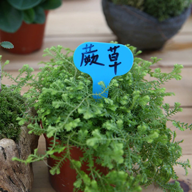 30 шт. пластиковые ярлыки для цветочных горшечных растений | Дом и сад