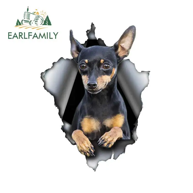 

EARLFAMILY 13cm x 9.7cm Pinscher Dog Car Sticker Torn Metal Decal Waterproof 3D Car Decals Reflective Vinyl Pet Dog Stickers