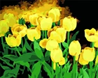 Желтый тюльпан, фоторамка сделай сам, украшение для дома, Раскраска по номерам, Цветочная девушка, ручная роспись