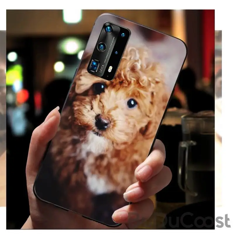 

Teddy Dog Custom Soft Phone Case For Huawei P9 10 20 30 40 P Smart 20lite 2019 P30 Lite Pro P9 Lite 2017 P 40 Pro