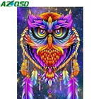 AZQSD 5D DIY Алмазная вышивка Сова перо мозаика картина Стразы алмазная живопись животные Декор для дома подарок