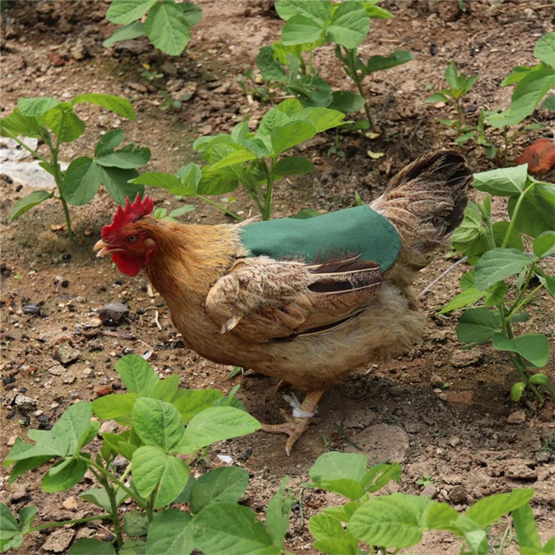 

Hen Saddle Apron Feather Back Protector Single Shoulder Strap Standard Chicken Jacket Household Poultry Supplies