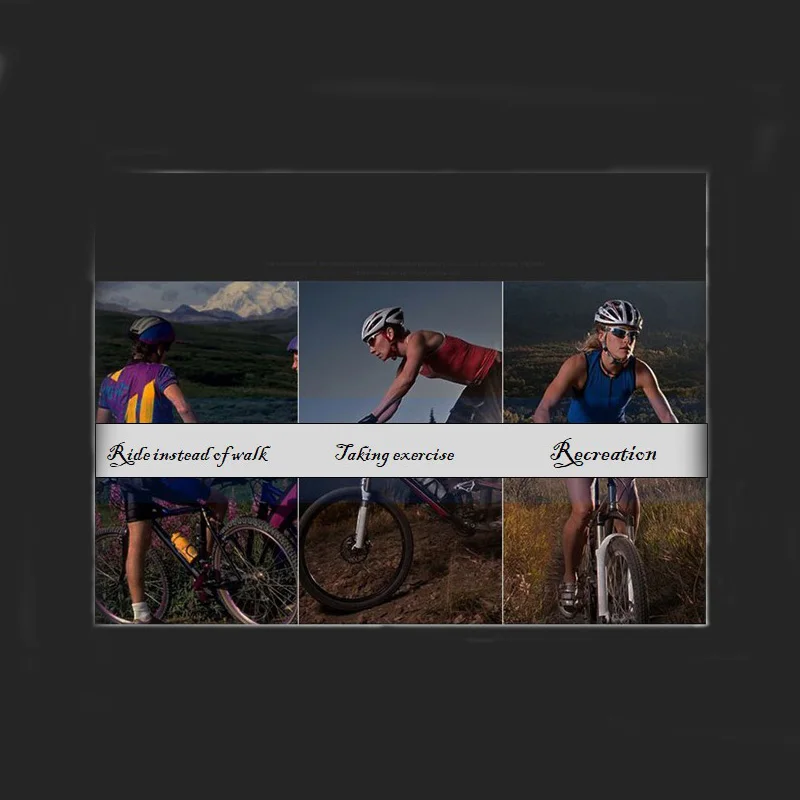

Mountain Bicycle 20 Inch High Carbon Steel Frame Folding Bike /Bilateral Folding Pedal Variable Speed Bicycle