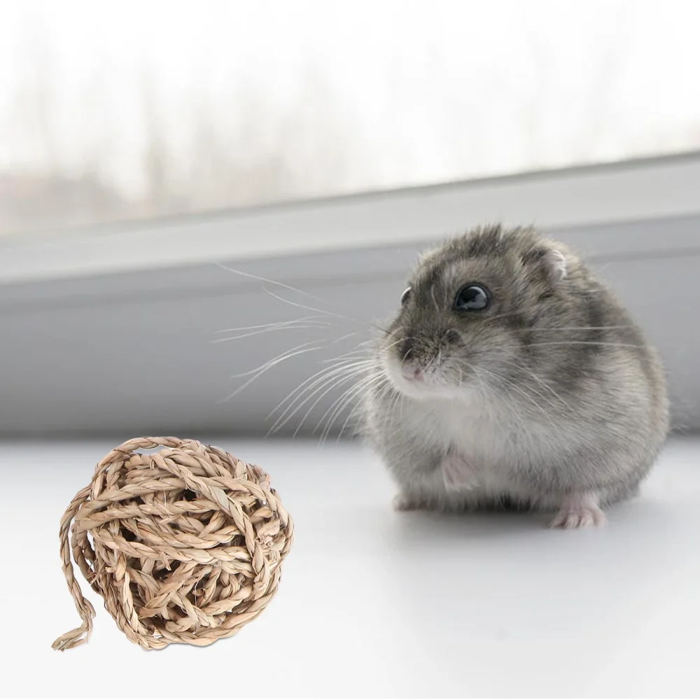 

5Pcs Woven Straw Rattan Round Toys Pet Molar Toys Hamster Chewing Toys