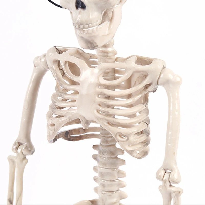Подвижная модель человека скелета 40 см украшение для вечеринки жениха и невесты