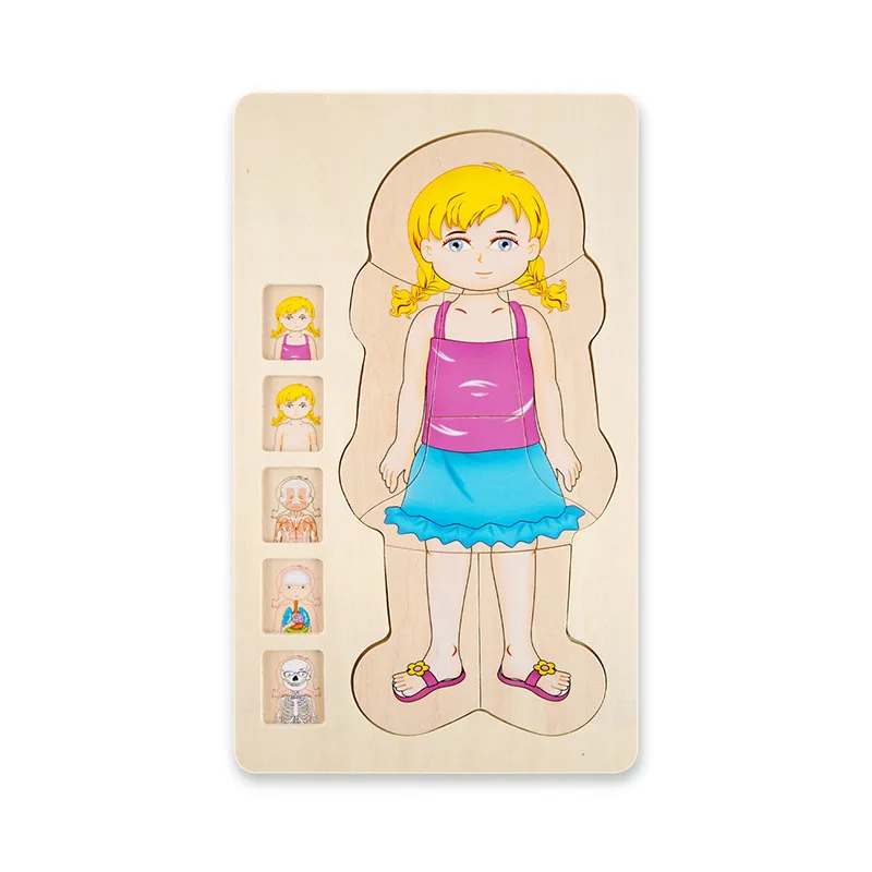 Многослойные деревянные пазлы-конструкции человеческого тела игрушки для детей