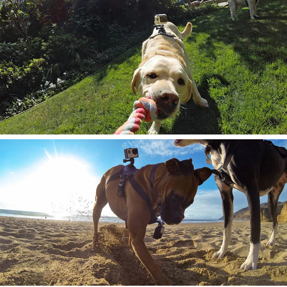 Регулируемый нагрудный ремень для Gopro 10 9 8 7 6 5 4 3 | Электроника