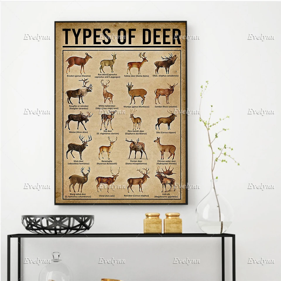 

Types Of Deer Animal Vintage Poster And Prints On Canvas Wall Art Modular Pictures For Living Room Home Decor Painting Frame