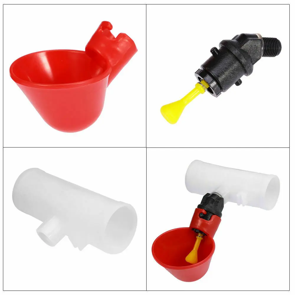 

Equipment Water feeders Accessory 4pcs Drinking Cups Plastic Fountains