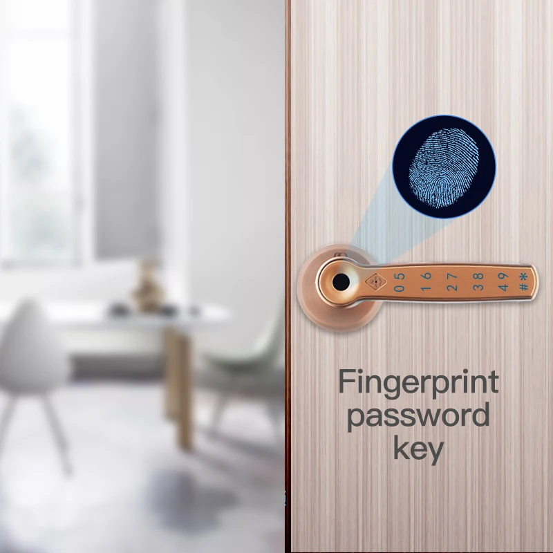 Умный дверной замок Obawa с Биометрическим отпечатком пальца и цифровым кодом |
