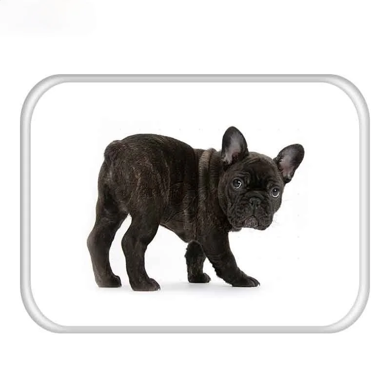 1 шт. 40x60 см с изображением героев мультфильмов для собак принтом нескользящие