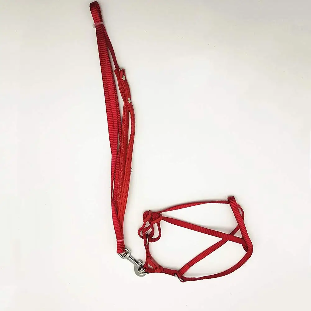 

Bird Adjustable Harness and Leash Anti-bite Outdoor Fly Training Traction Strap for Large Parrot Macaw Amazon Cockatoo