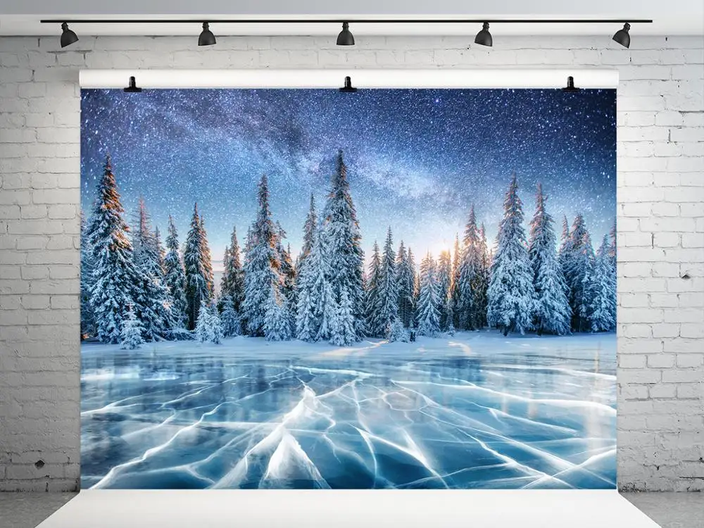 VinylBDS Winter Backdrops For Photography Snow Tree Christmas Frozen Ice Backgrounds Photo Studio | Электроника