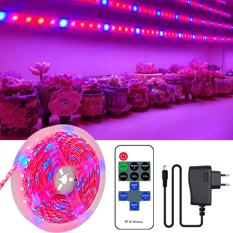 

Phyto LED Grow Light LED Strip Plant Growth 2835 Full Spectrum Hydroponic Tape for Seeds Flowers Greenhouses Cultivo Grow Lamp