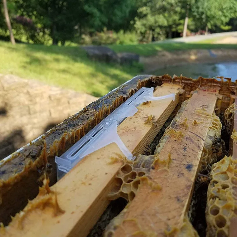 10 шт./набор многоразовая ловушка для улей | Дом и сад