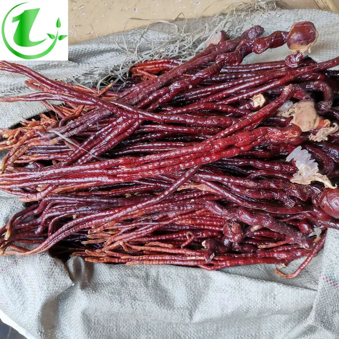 

Китайская Гора Чанбай, дикая гуанодерма люцидовая, гуанодерма люцидовая