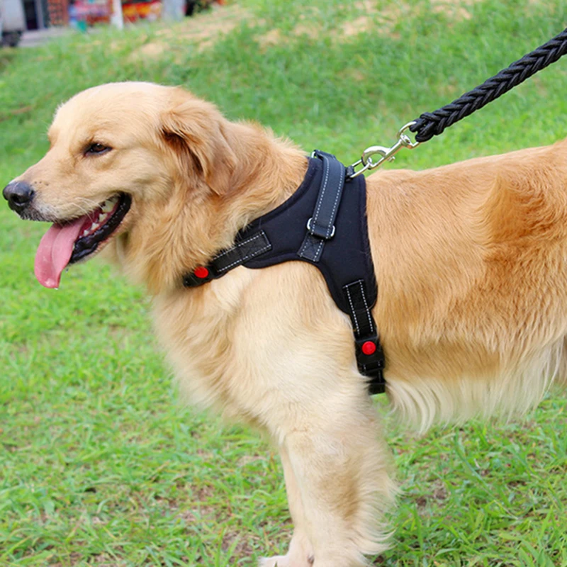 Шлейка-поводок для крупных собак жилет пастушек Хаски большие средние и