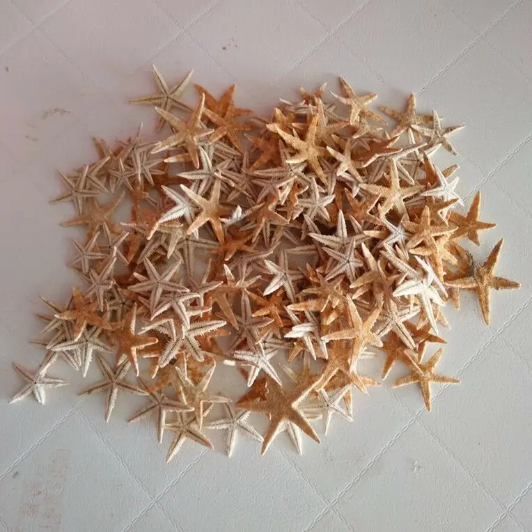 

Mini Natural Starfish Shell Beach Sea Star Landscape Crafts Making Decor 50PCs