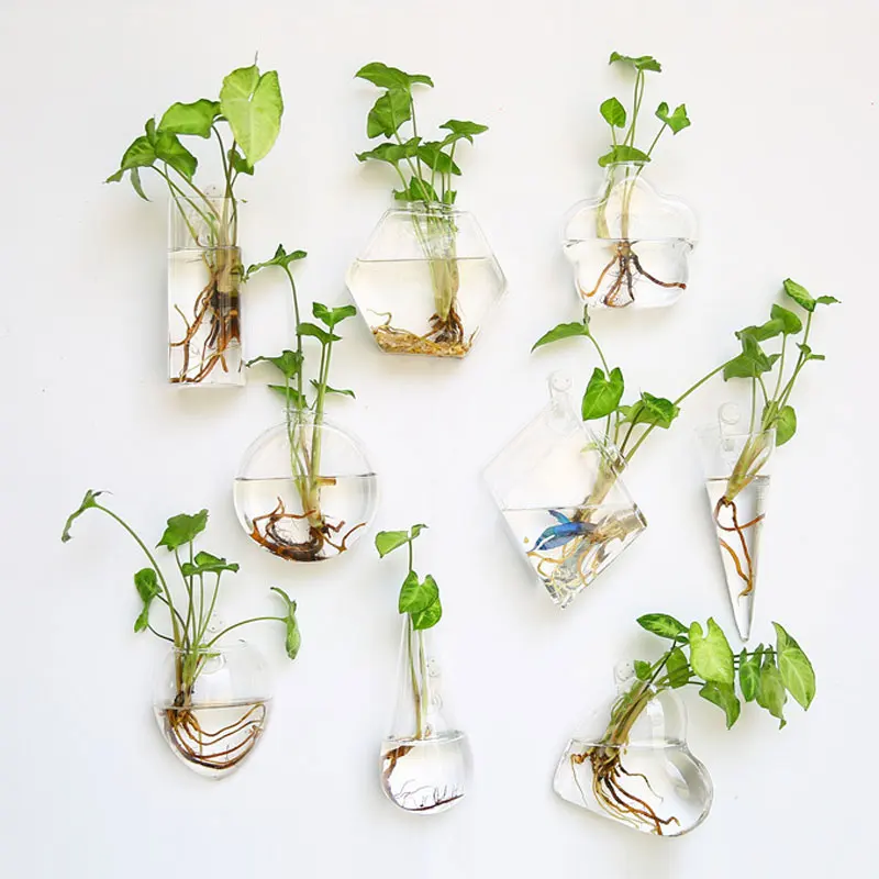 Стеклянная стена подвесная ваза для цветов шар Террариум аквариум растение