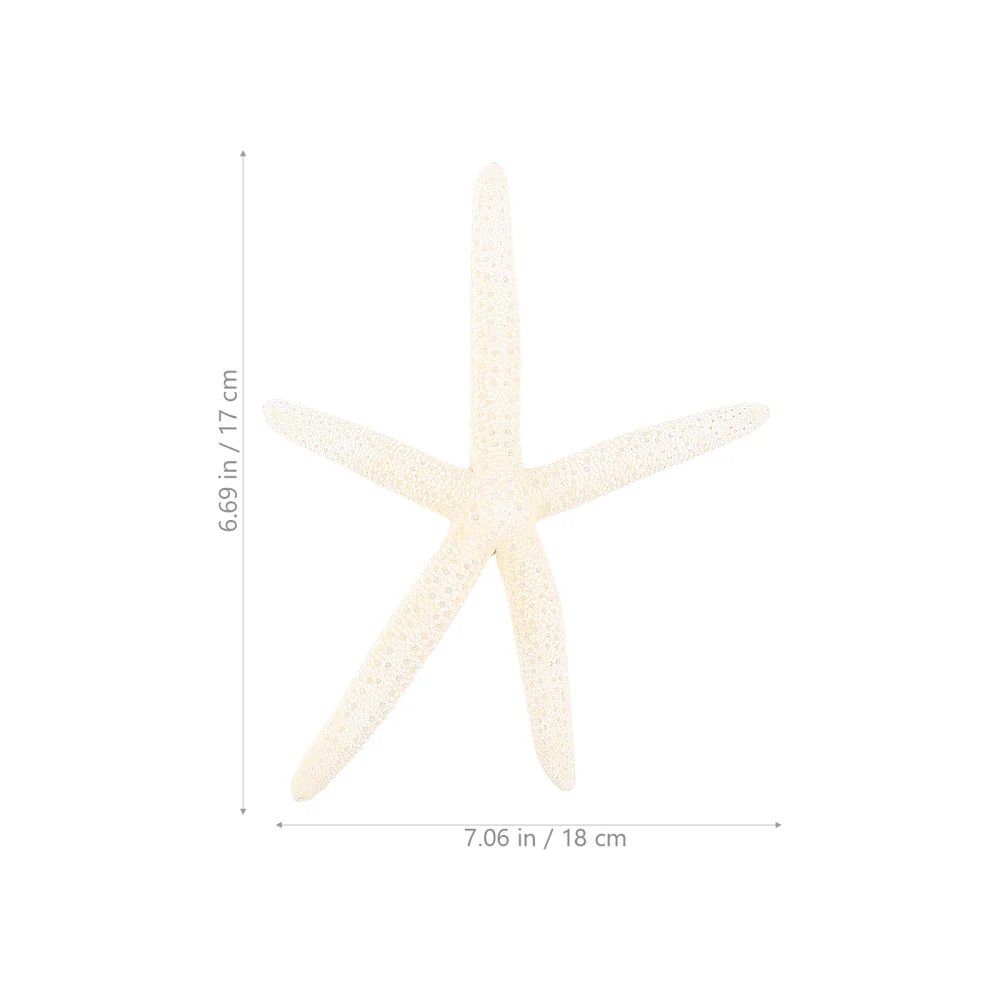 

2pcs Natural Sea Stars Creative Wedding Ornaments Seashell Crafts for Decor
