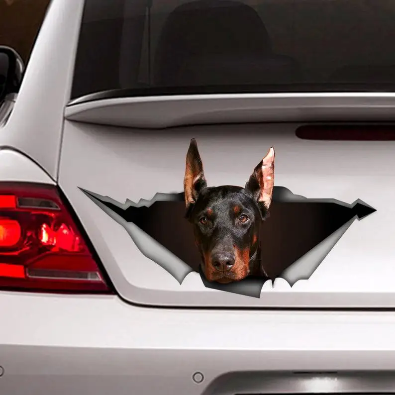 

Doberman car Decal, doberman sticker , doberman magnet, funny decal, Laptop Decal, 3D sticker