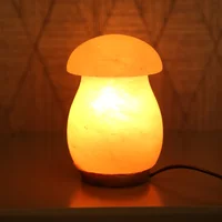 Salt Stone Natural Table Lamp Salt Lamp Mineral Crystal Lamp Mushroom Charging Bedside Lamps for The Bedroom Room Decoration C