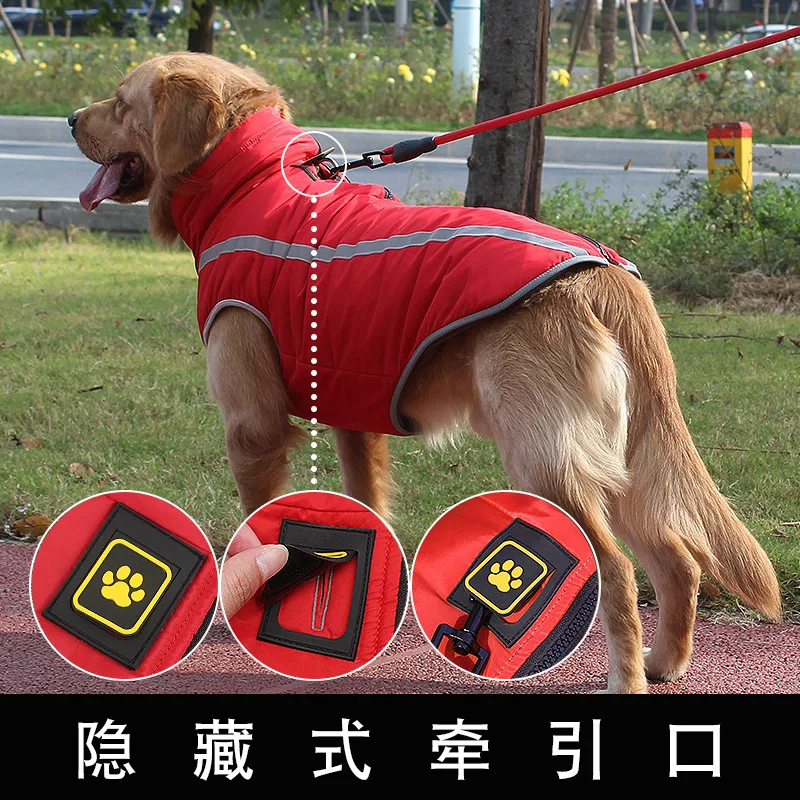 Новинка 2021 одежда для больших собак Осень зима золотистый ретривер домашних