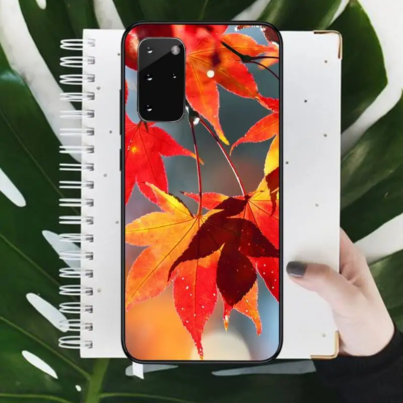 

Autumn falling leaves maples Phone Case For Samsung galaxy S 9 10 20 A 10 21 30 31 40 50 51 71 s note 20 j 4 2018 plus