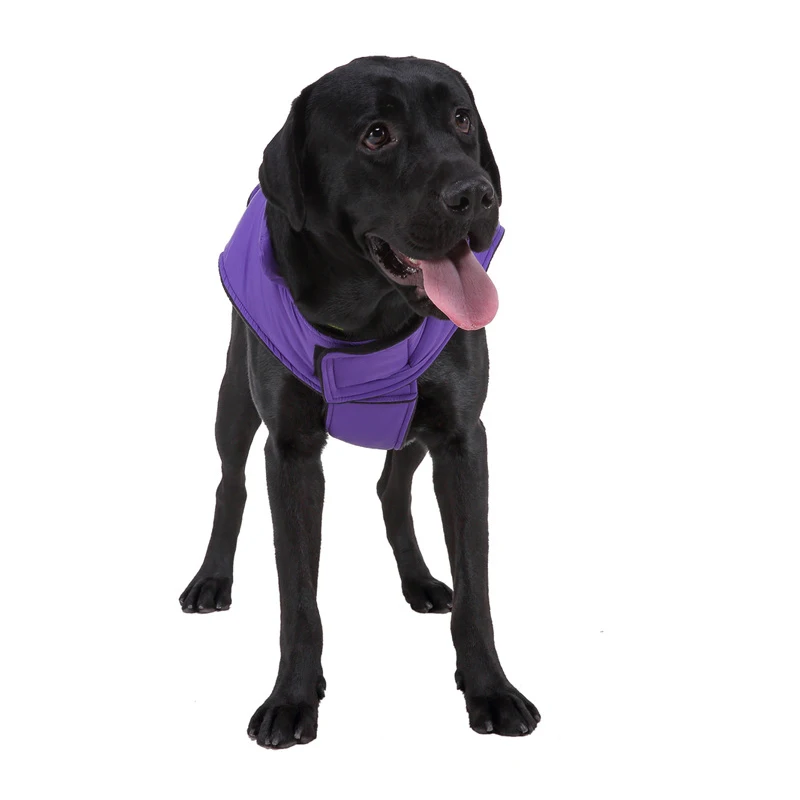 BDTHOOO Dog Pet Coats Waterproof Reversible Jacket Warm Winter Clothes Elastic Small to Large |