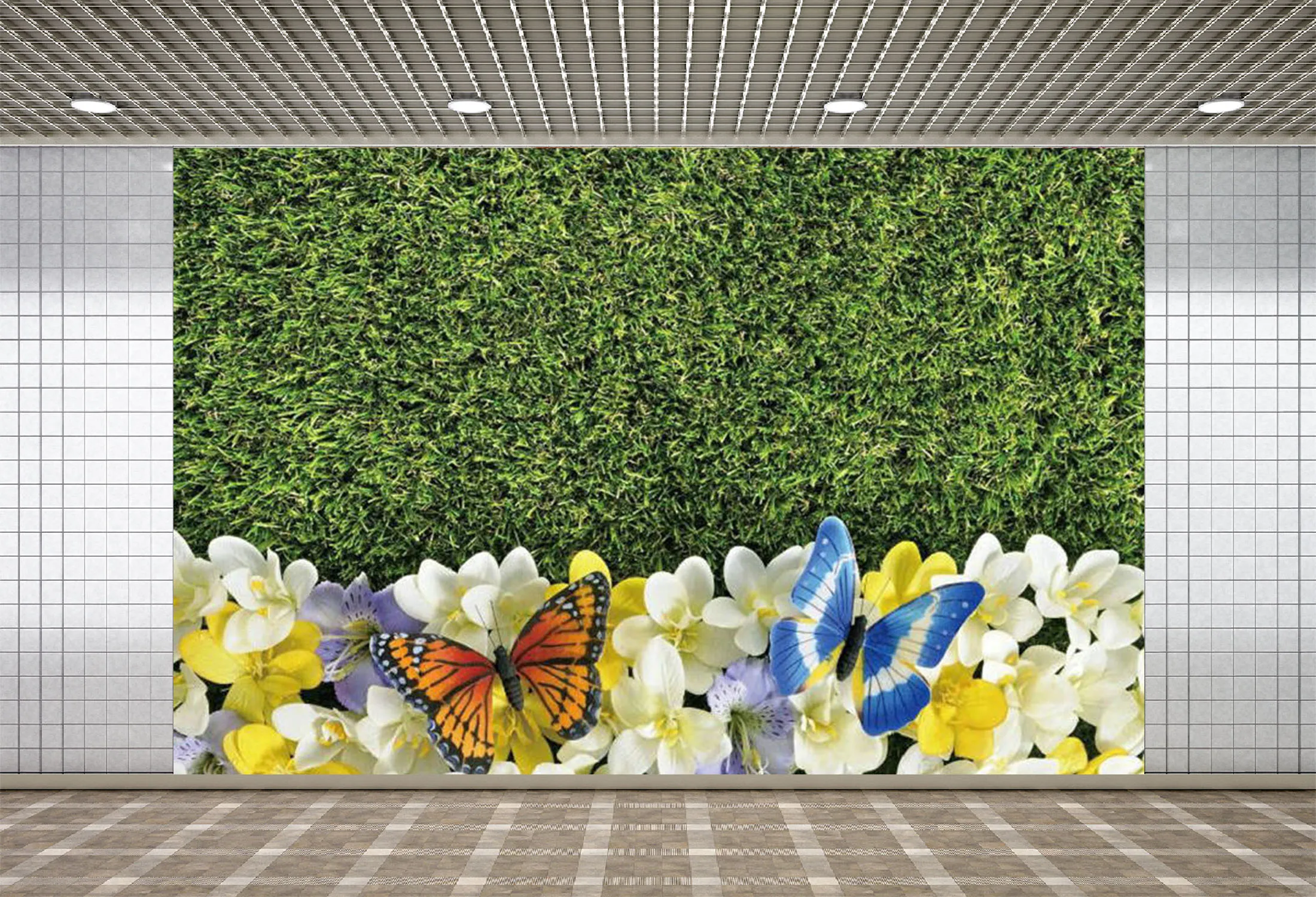 Pano de Fundo Borboleta e Grama Festa de Família Lyavshi Flor Planta Phalaenopsis Fotografia Fundos Decoração Photo Studio Adereços