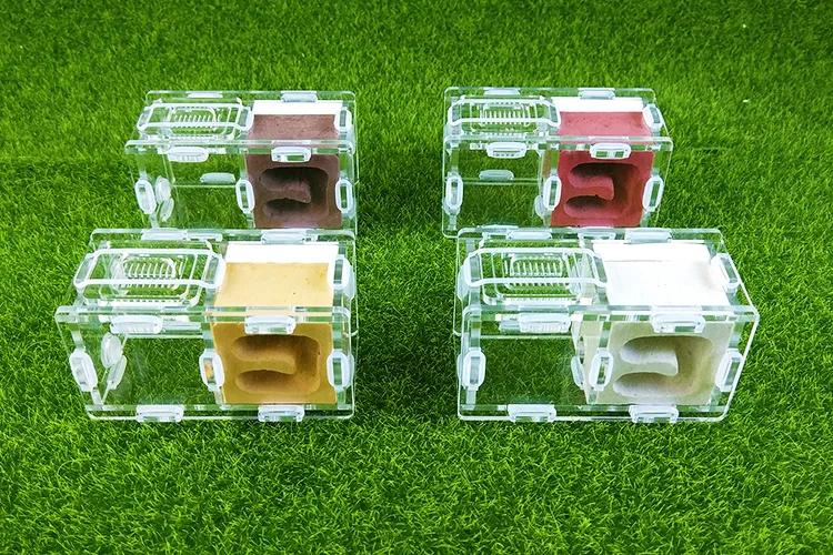 Мини Муравьиное гнездо муравьиная ферма из акрила и гипса для молодых маток