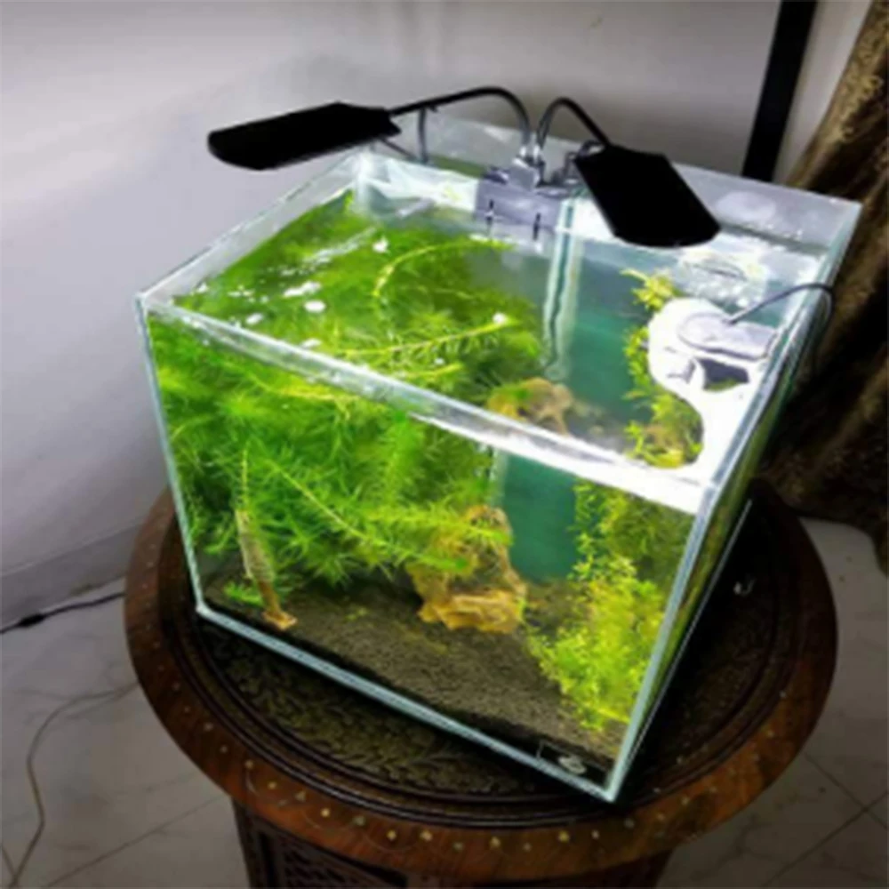 Aquarium Light For Fish Tank Planted 10W/5W LED Lighting Anti Fog Clip On Luces Lights Lamp|aquarium clip led|led aquarium cliptank led |