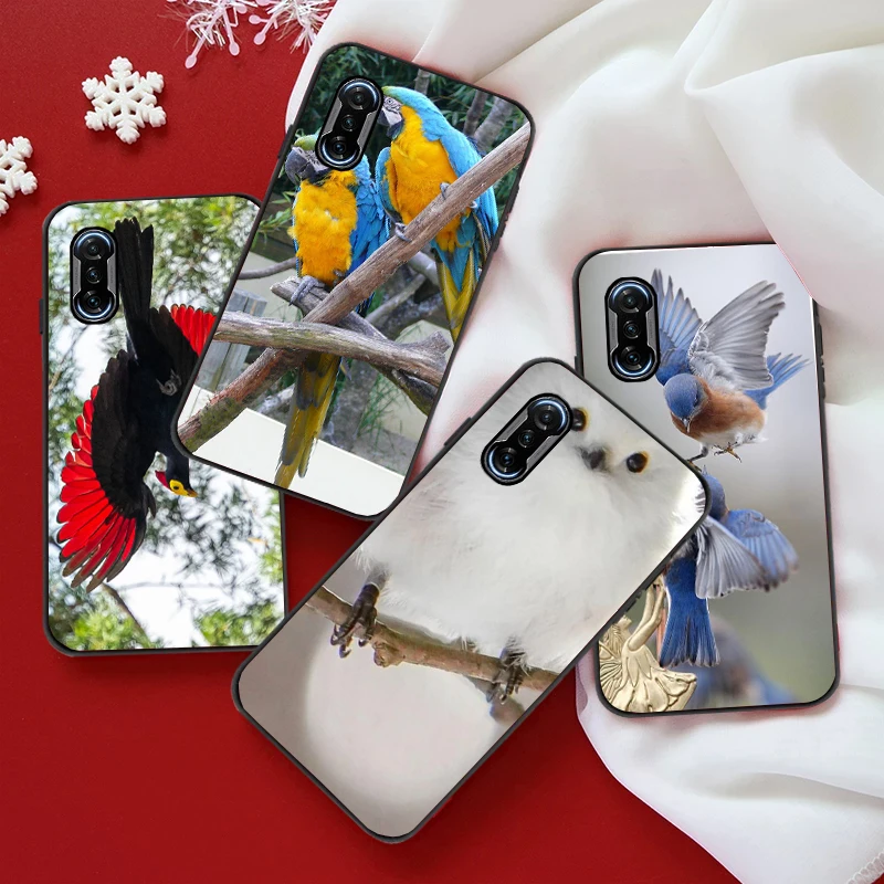 

Animal Cute Bird Phone Case For Xiaomi Mi POCO X3 Pro NFC F3 GT M3 Pro Clear Shockproof Funda Carcasa Back Cover